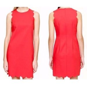 J.Crew scalloped dress